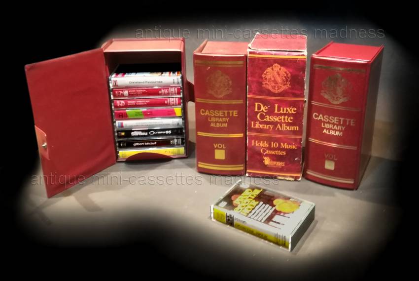 De Luxe Cassette library Album collection: (Holds 10 music cassettes) - 2